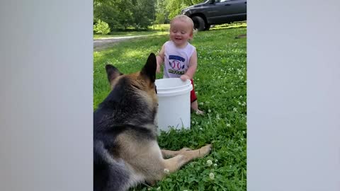 Cute Babies Playing With Dogs Compilation _ Funny Baby And Pets~6