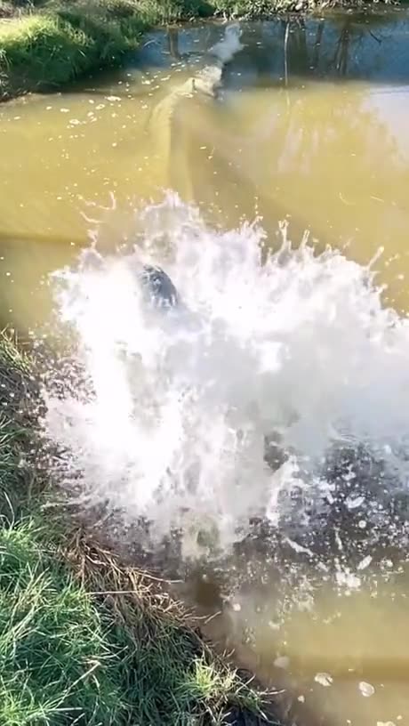 Meanwhile in Florida Take 1