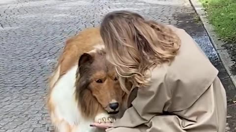 Men Convert into 🐕
