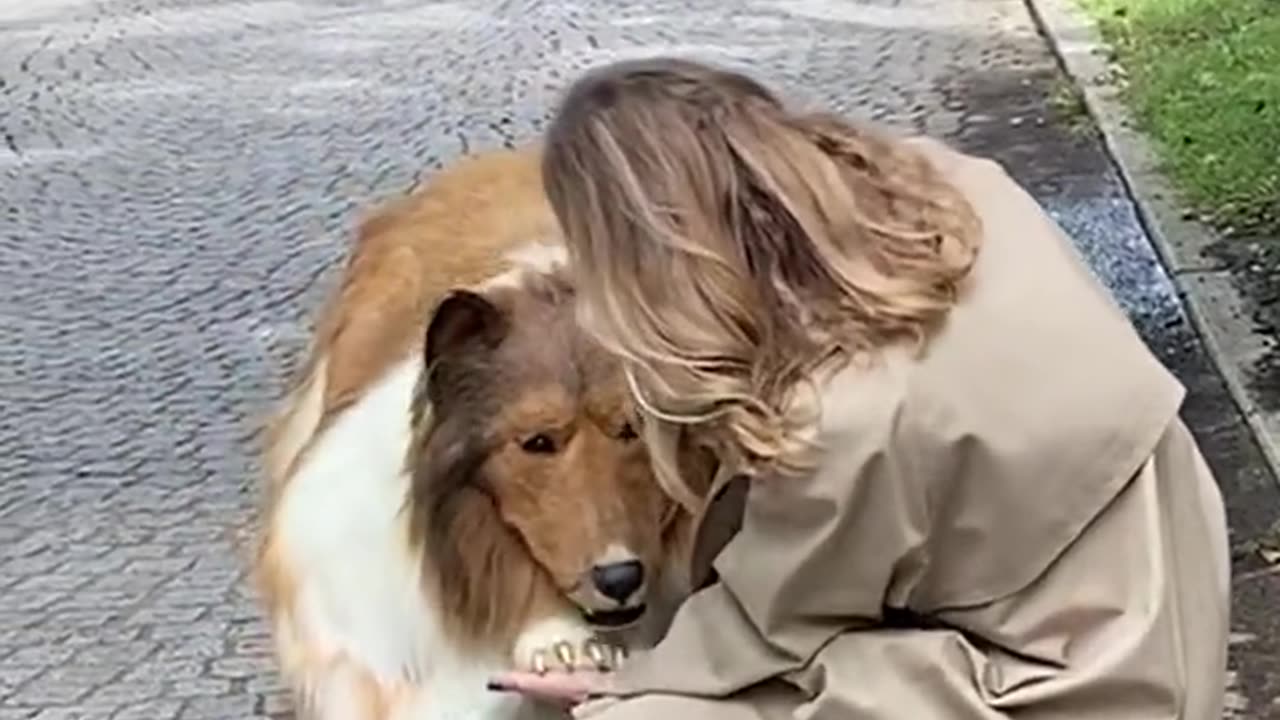 Men Convert into 🐕