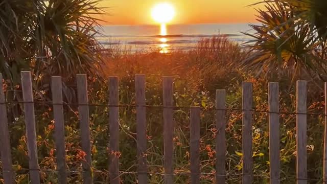 Morning BreezeJekyll Island