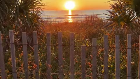 Morning BreezeJekyll Island