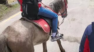 Horseback riding in Shymbulek Mountain