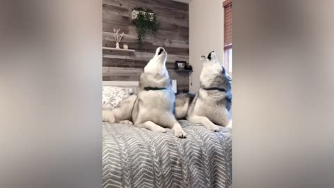 funny.funny .funny