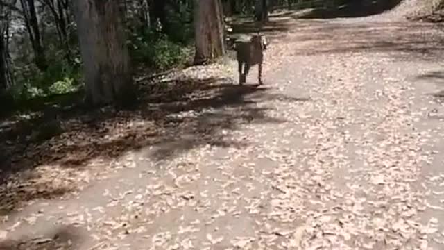 Have romantic fun and