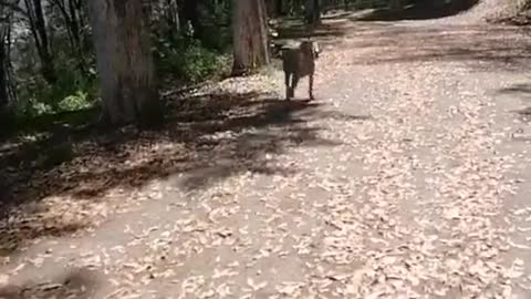 Have romantic fun and