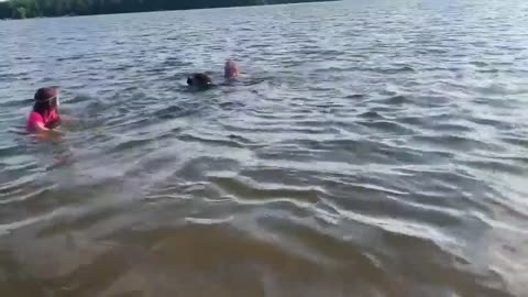 Man Pretending to Drown in Lake Gets Rescued by His Dog