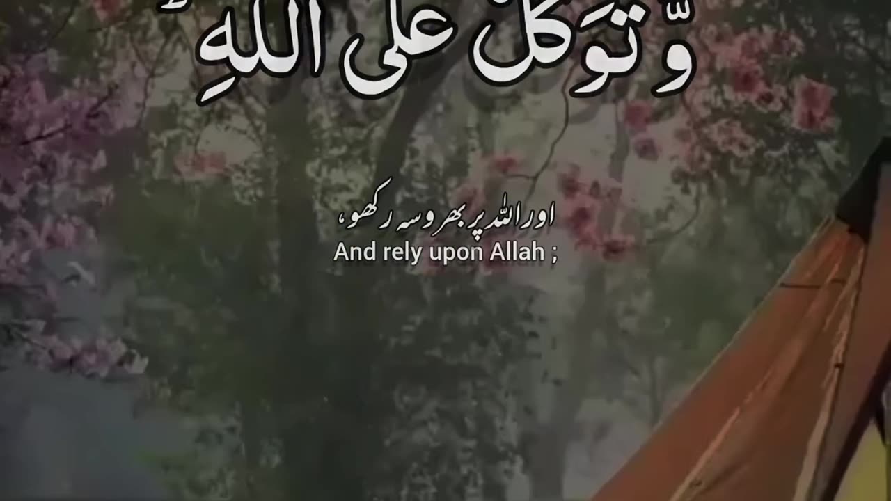 Beautiful Quran recitation