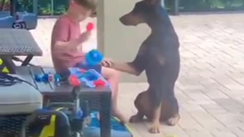 The best patient ever and a future vet