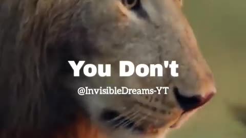 Motivational video