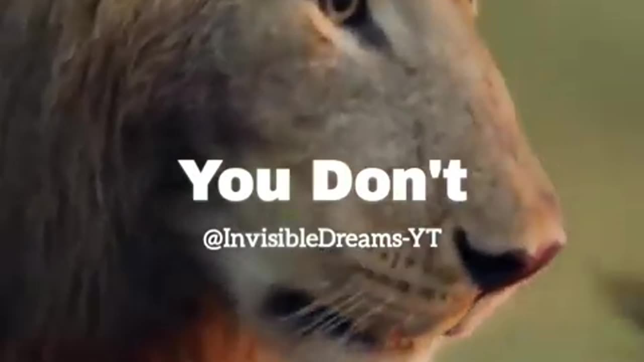 Motivational video