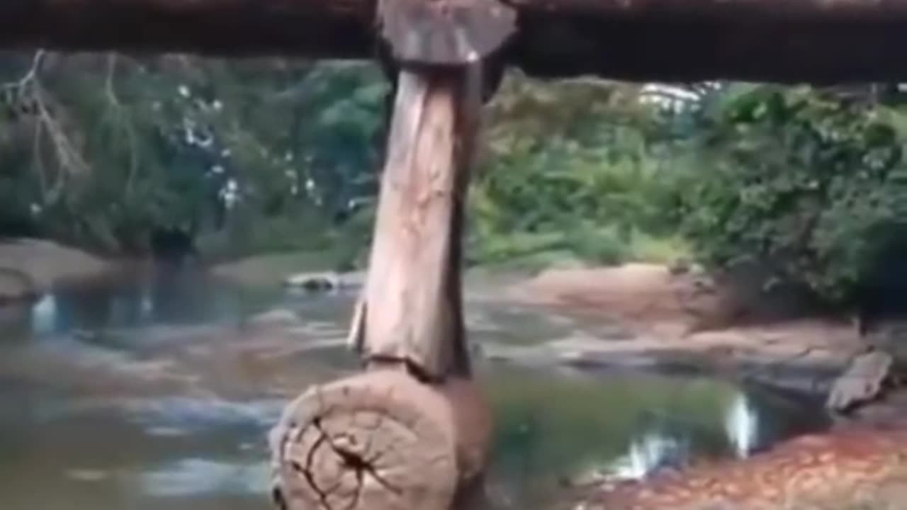 Logging Truck fails by crossing woodbridge