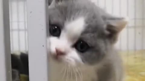 Cute 😊🧡