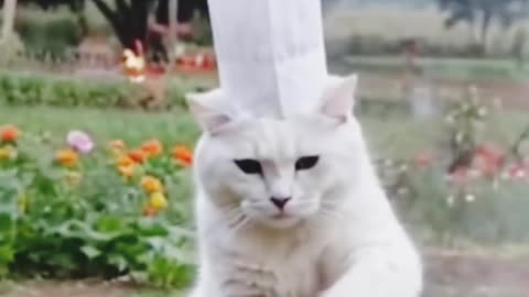 Funny🤣😝 viral🔥 video