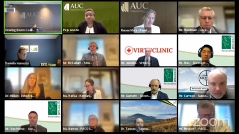 AUC Proceeding #28295 Caroline Solar Farm Day 2