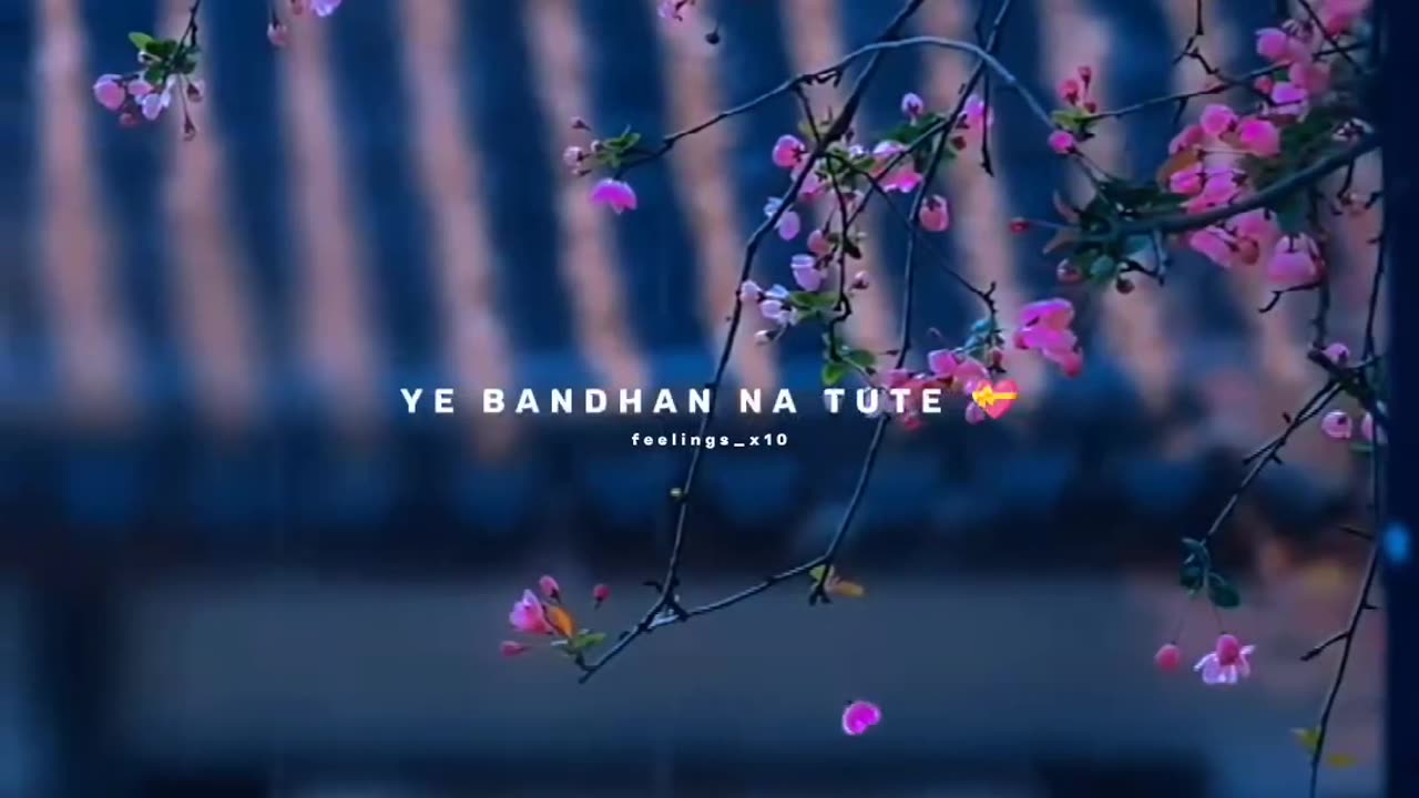 A Beautiful Song