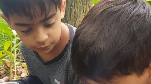 Bushcraft childrens
