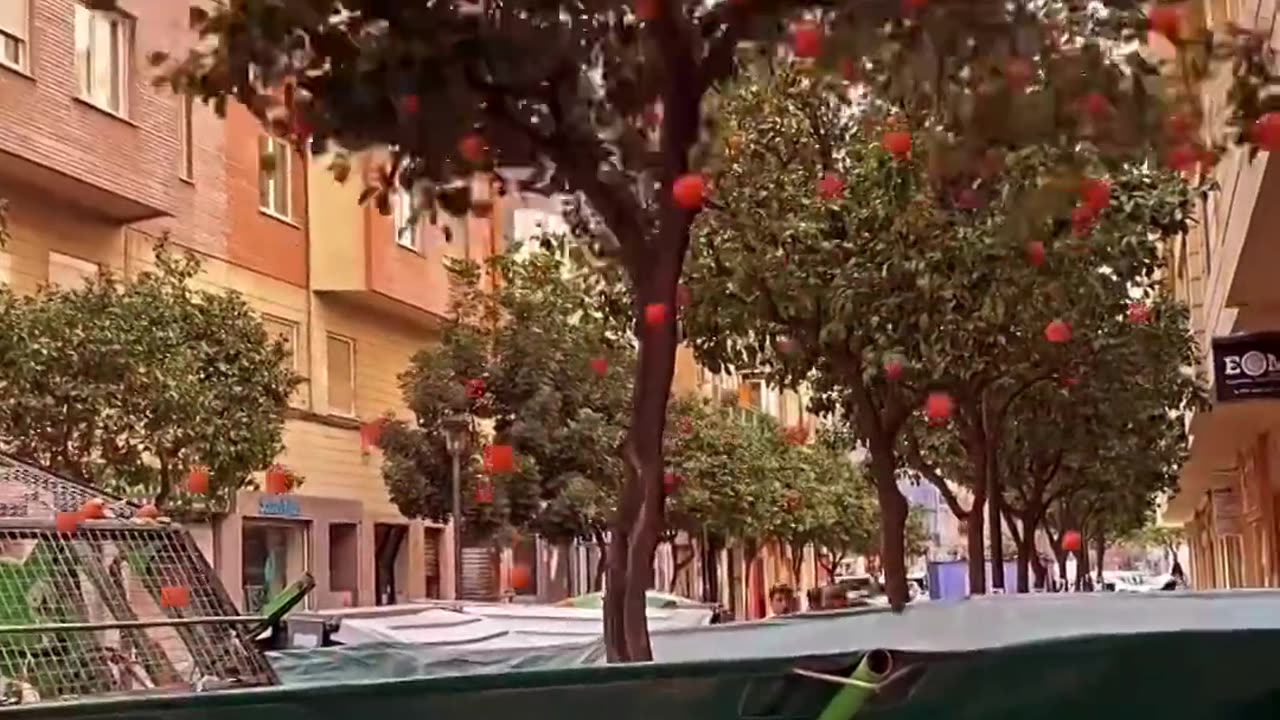 Food collecting trees