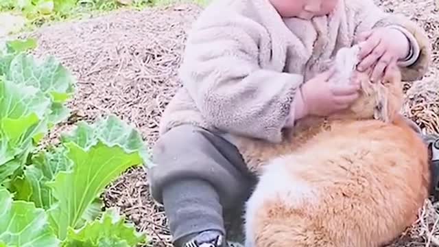 adorable baby having lots of laughs