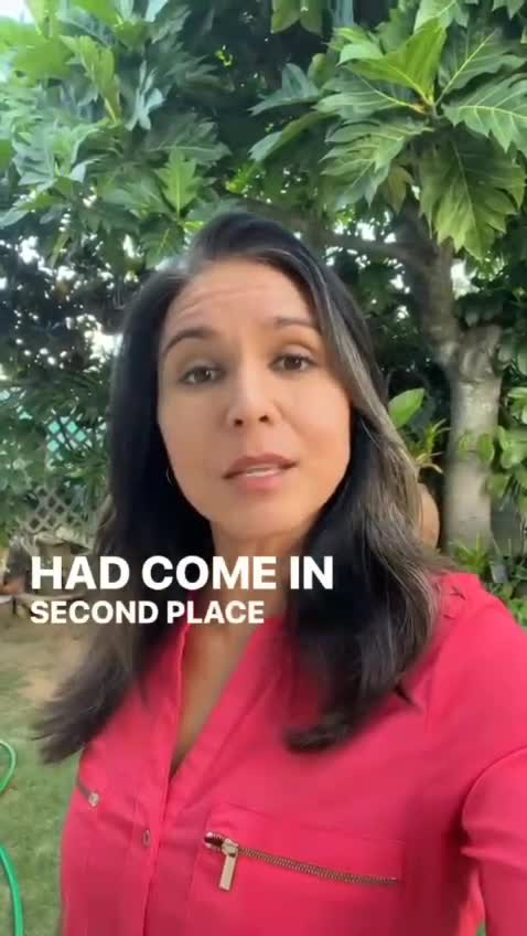 Tulsi democrat on ucraine