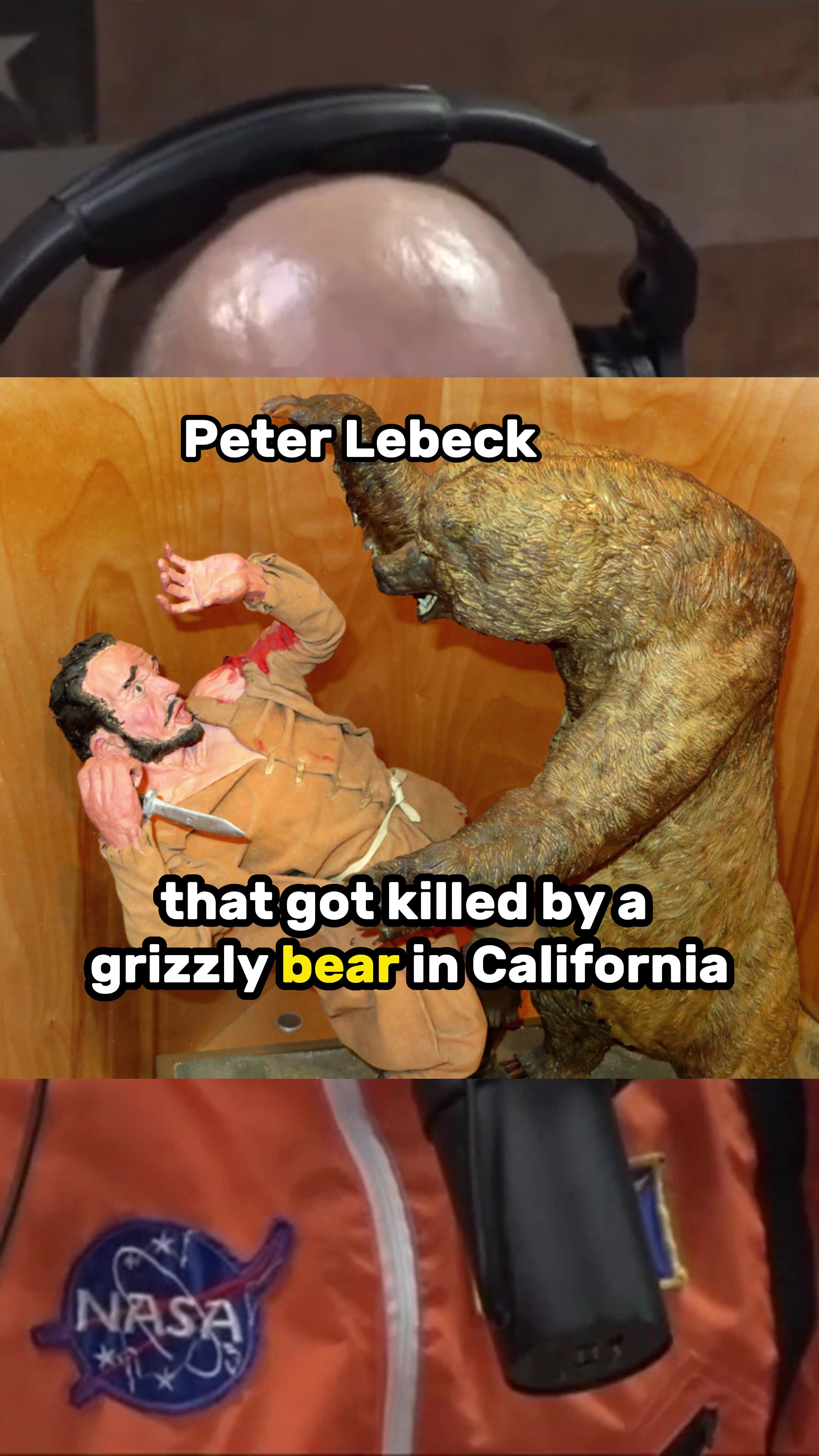 Joe Rogan Bear Joe Rogan On Why Grizzly Bears Are Extinct In California