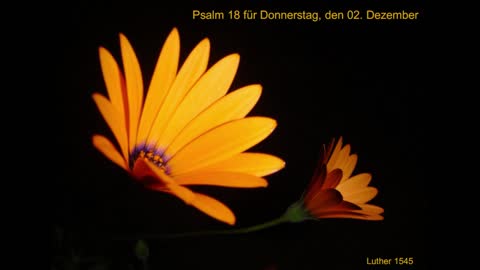 Psalm 18 für Donnerstag, den 02. Dezember