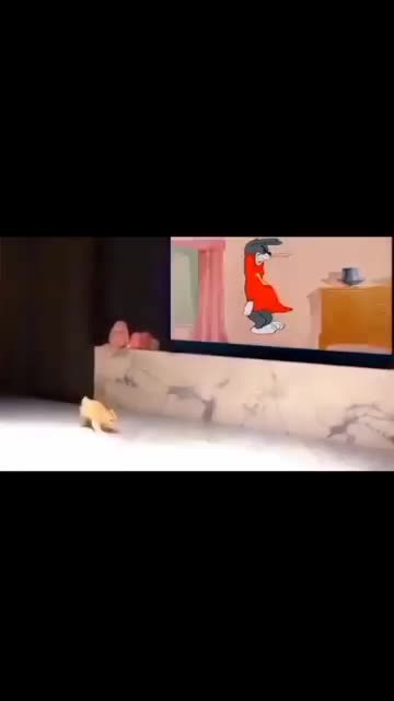 "The Brave Little Cat: Overcoming Fear in the End"