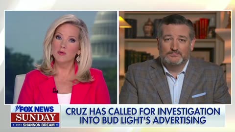 Senator Ted Cruz explains the reasons behind him and Marsha Blackburn authoring a letter