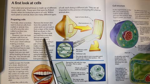 Audiobook | The World of the Microscope | p. 14-15 | noeo science | Biology 2