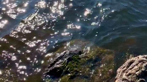 Vattenglitter vid sjön😊💕