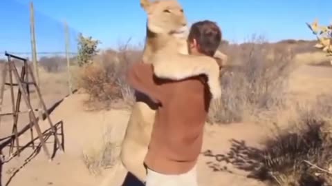 This Video Stole My Heart