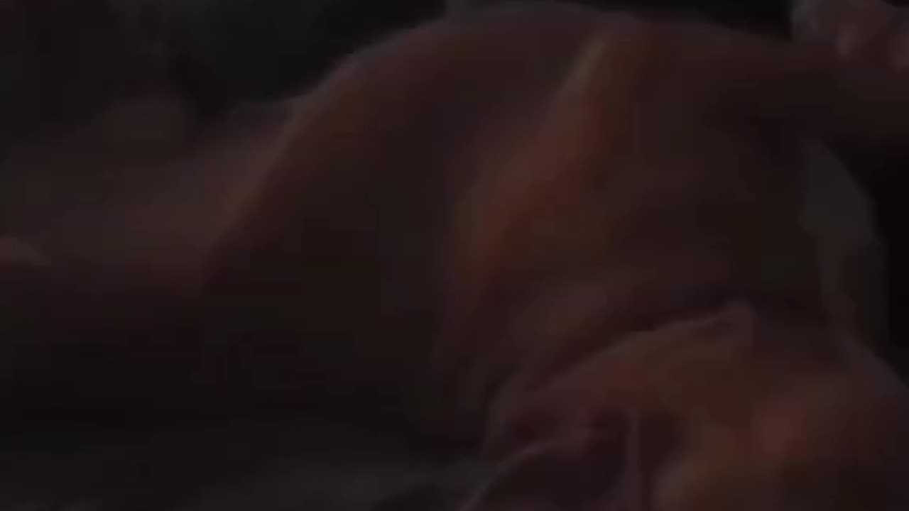 Funny animal