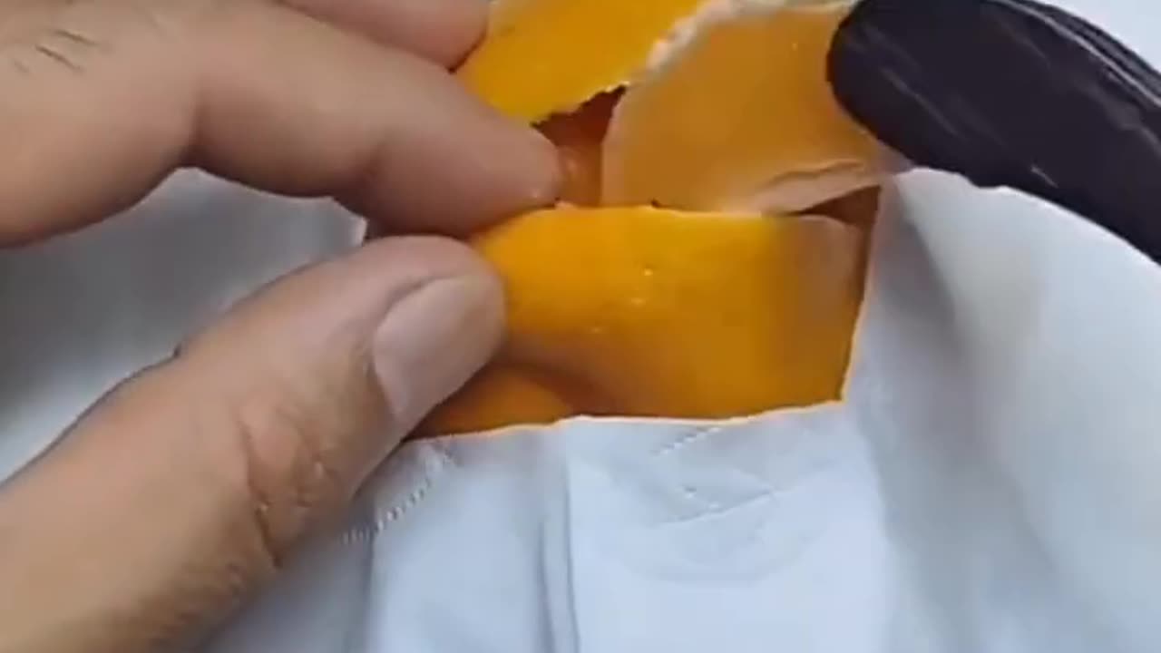 Funny Video Episode 01