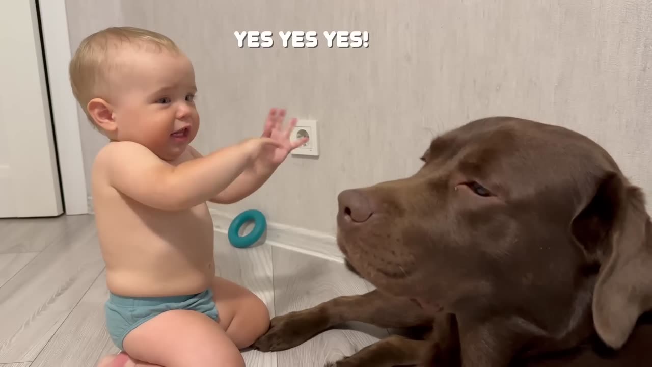 Baby & dog