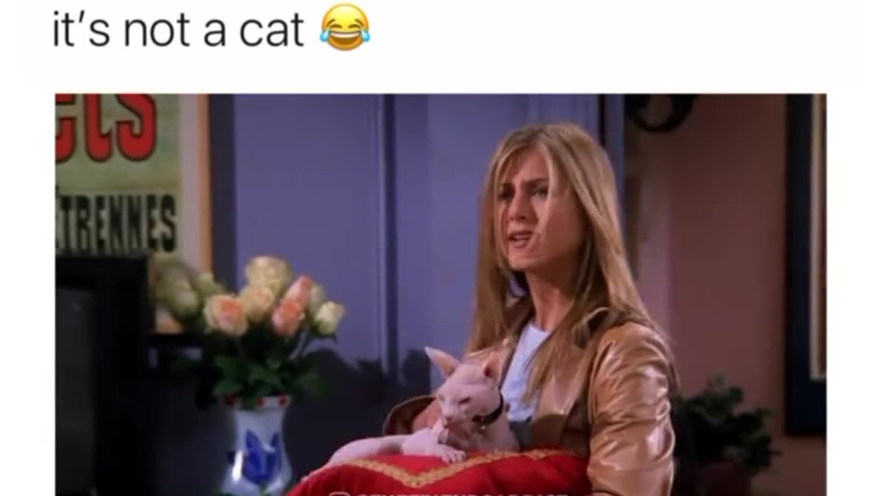 Friendsaddiction clips