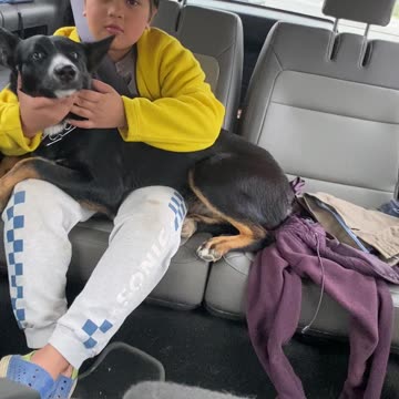 Philip and his first puppy Maxine. Maxine and her first boy Philip .