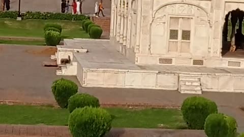 Badshahi masjid Lahore Pakistan 🎙️🇵🇰