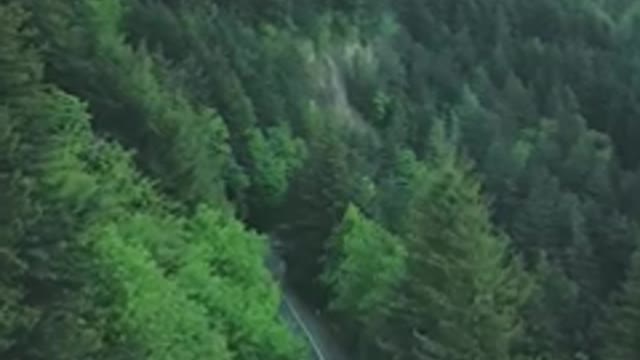 Amazing Road view 😍 Nature World