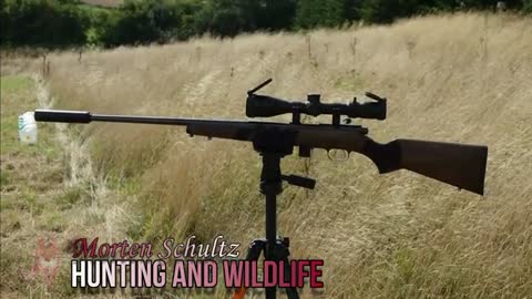 22lr ammo test - penetration test