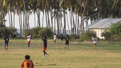 Group Of People Playing Football