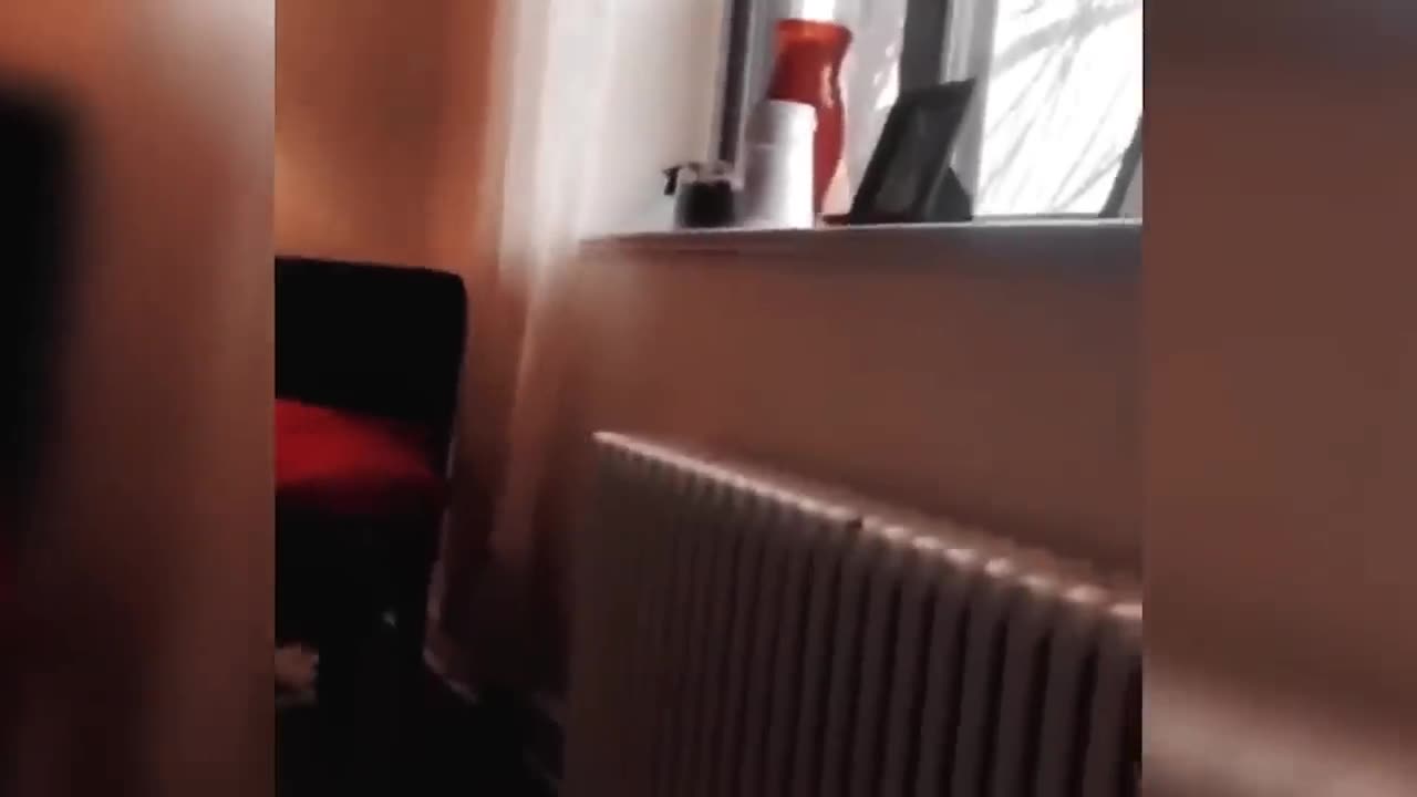 Funny Video 04 | Funny Collection