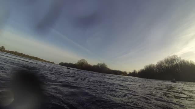 Dramatic rescue of horses from the River Shannon