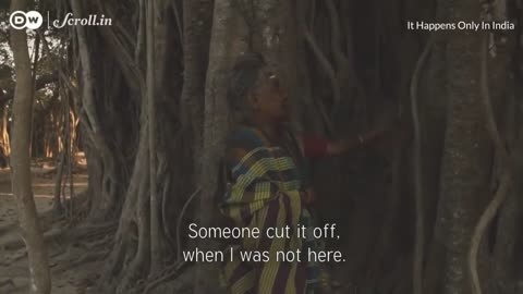 The Goddess Under the Banyan Tree