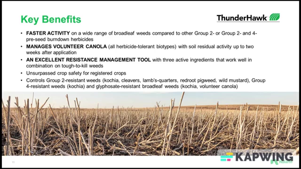 ThunderHawk Herbicide | Nufarm Canada