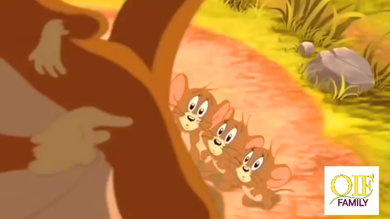 Tom and Jerry Classic Cartoon Compilation cartoon for kid