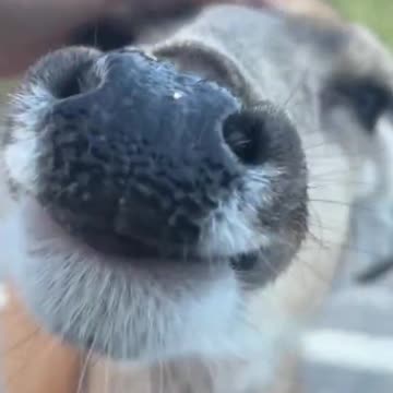 The little noises 😍