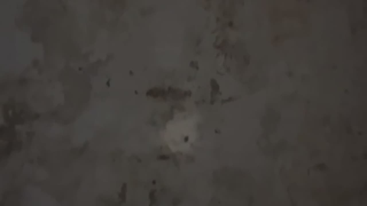 Paranormal Investigation clip-do you hear what I hear?