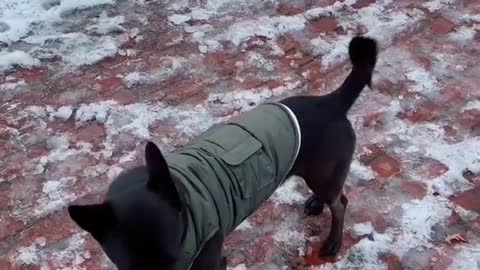 Comment with your best guess!