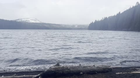 The Tranquil Sounds of a Serene Mountain Lake – Suttle Lake – Central Oregon – 4K