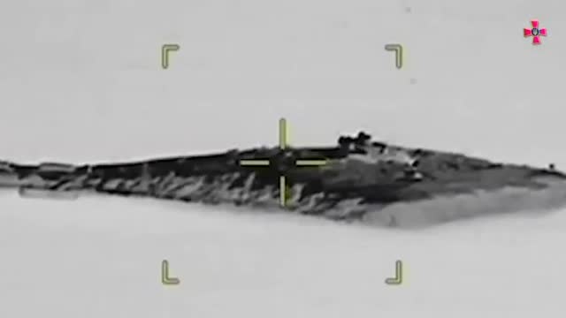 Snake. How the AFU regained the island.